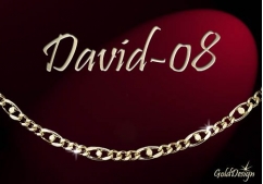 David 08 - náramek zlacený